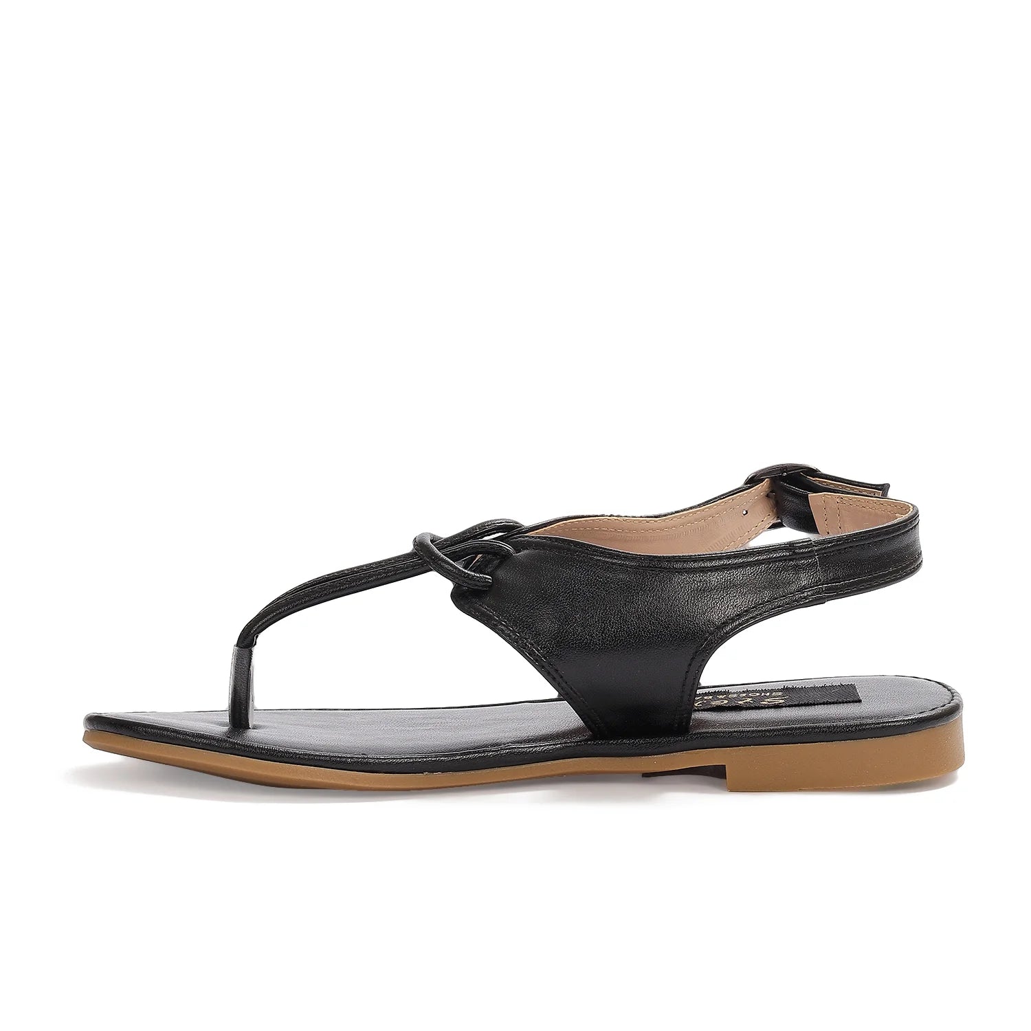 TI244 Black